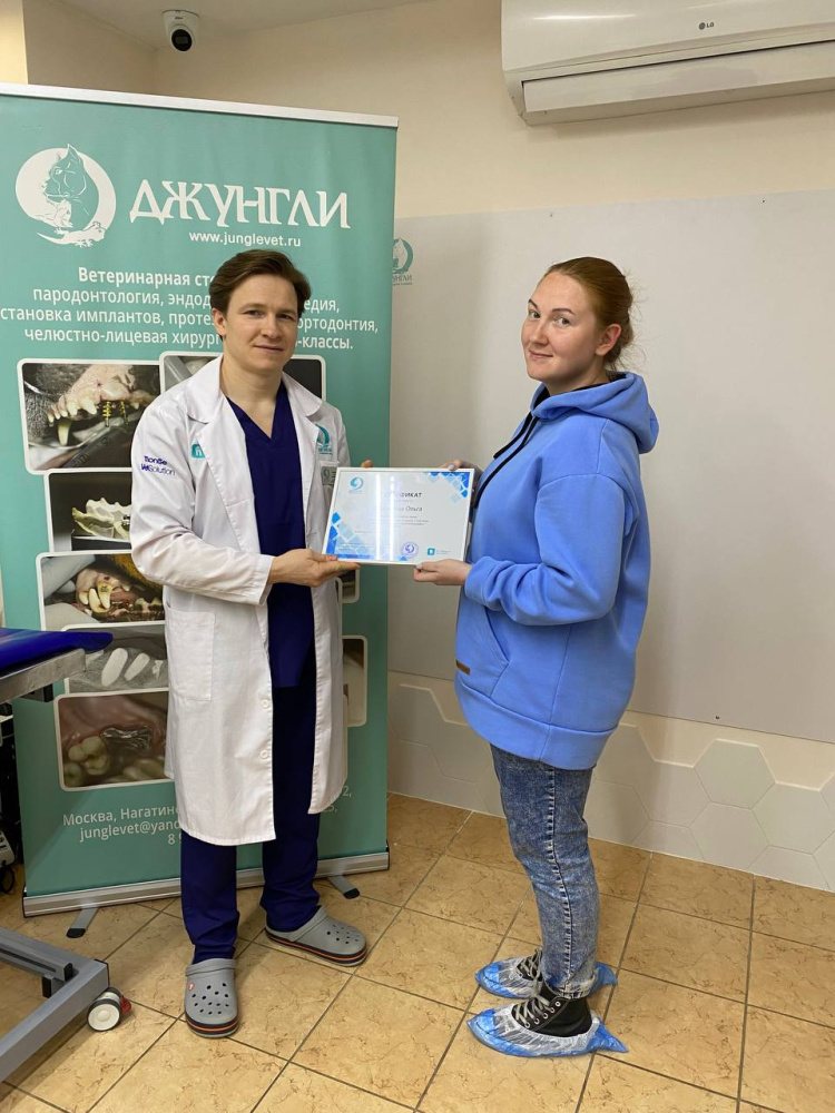 Курс: Удаление зубов у собак и кошек 2 ступень. Техника удаления ...